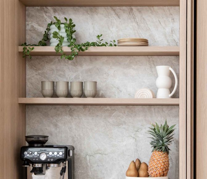 Project-Palmera-18-2